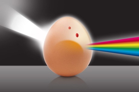 Detecting blood spots in white and brown eggs