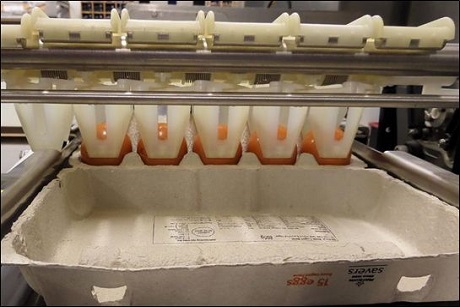 Packaging handling: Moba packing lanes